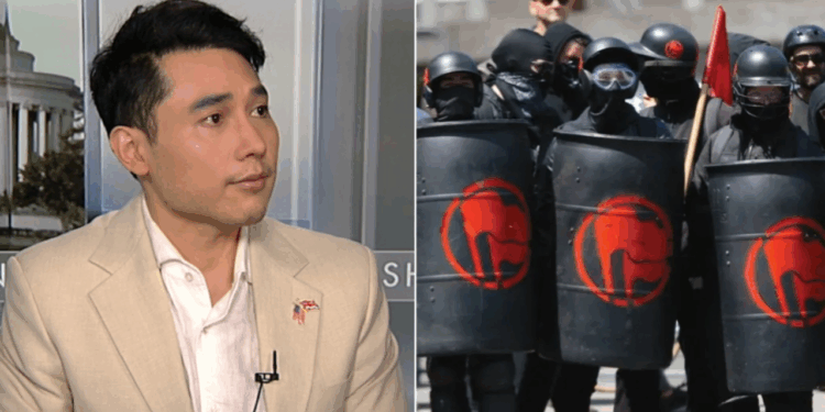 Veteran journalist pushes back on liberal narrative downplaying Antifa violence