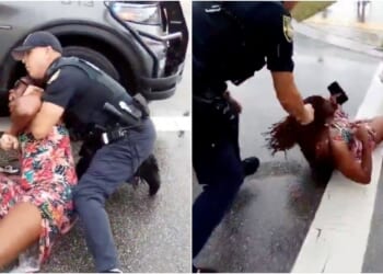 Habitual Traffic Offender Goes Berserk on Cop Outside Charter School, Bites Officer — Bystanders Also Arrested Under Florida’s New ‘Halo Law’ | The Gateway Pundit