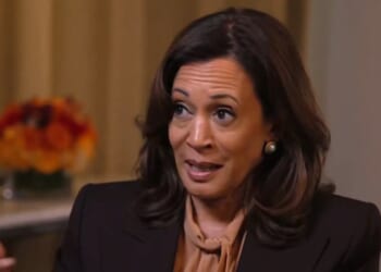 WATCH: After YEARS of Democrats Targeting Trump and Trump Supporters, Kamala Harris Calls Letitia James Indictment a "Full on Frontal Attack on the Rule of Law" | The Gateway Pundit