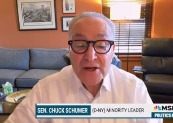 (VIDEO) Chuck Scumer Calls for "Forceful" Uprising in Response to Letitia James Indictment | The Gateway Pundit