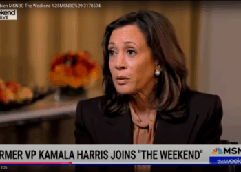 On Eve of Hostage Release, Kamala Harris Accuses Israel of Genocide