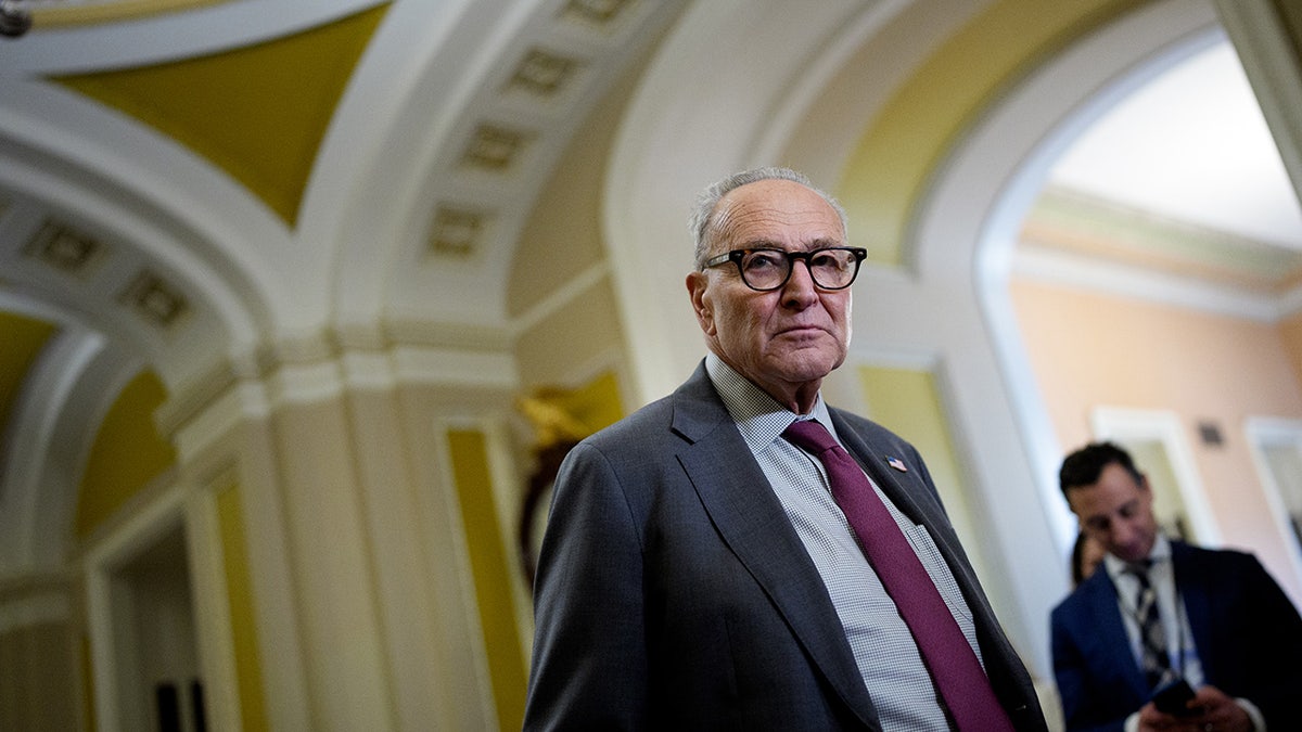 Chuck Schumer speaks at the Capitol