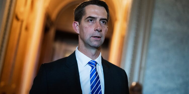 Lawmakers echo national security officials' concerns over joint research between US and China