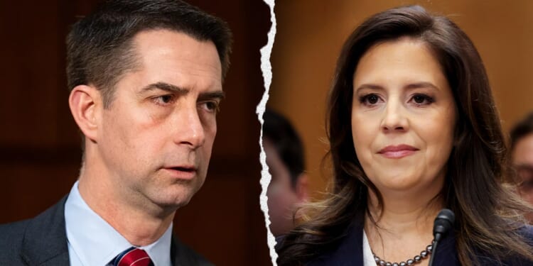 Stefanik, Cotton press Treasury to investigate CAIR over alleged Hamas ties