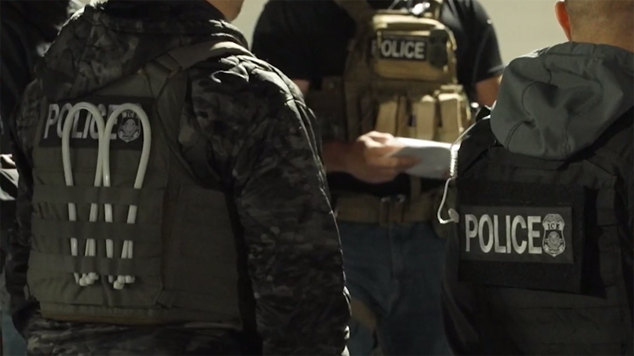 Teen arrested by ICE posed 'public safety threat' contrary to reporting, says DHS