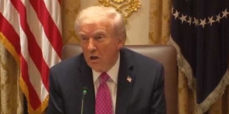 WATCH: Trump Calls Democrats "Mentally Damaged" - "They Want to take $1.5 trillion and Give it to People That Invaded Our Country" | The Gateway Pundit