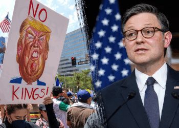 Republicans seize on nationwide anti-Trump protests as shutdown standoff drags on