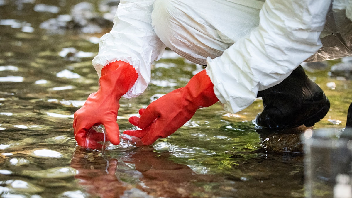 Scientist collects water