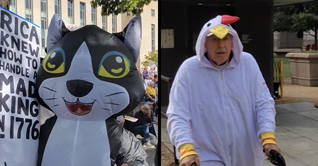 Boomers Be Wildin'! Furries and Geriatrics Take Over D.C. During 'No Kings' Protest