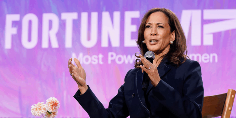 Harris says Biden made mistake not inviting Musk to electric vehicle summit