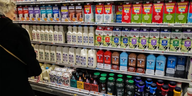 Boston considers government-owned grocery stores after Atlanta success
