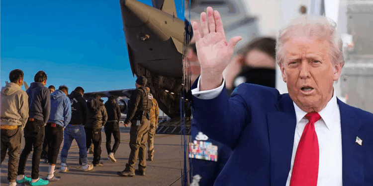EXCLUSIVE: Trump admin expected to shatter all-time deportation record
