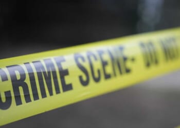 4 dogs maul woman to death after she suffers medical episode, police say