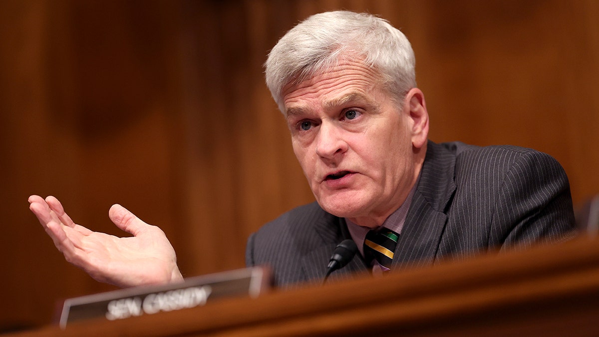 Sen. Bill Cassidy speaks during a hearing
