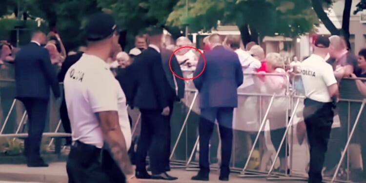 Would-Be Assassin of Slovak PM Robert Fico Convicted of Terrorism Charges, Sentenced to 21-Year Prison Sentence | The Gateway Pundit