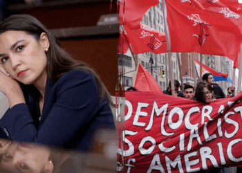 AOC employs former socialist boss to handle campaign cash