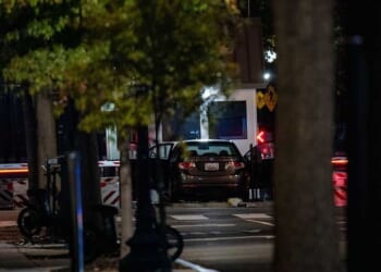 'Charges pending': Secret Service delivers update on White House car crash suspect