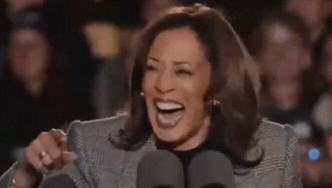 Democratic National Committee STILL Struggling to Pay Off Kamala Harris Campaign Debt Nearly a Year Later | The Gateway Pundit