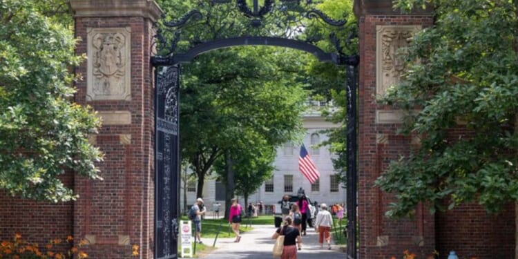A Harvard Dean Defended Death Threats Against Trump. The University Has Said Nothing.