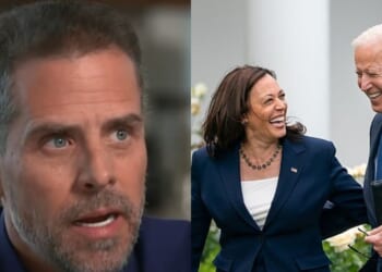 DEI Government: Hunter Biden Admits His Dad Picked Kamala as VP Because She is Black | The Gateway Pundit