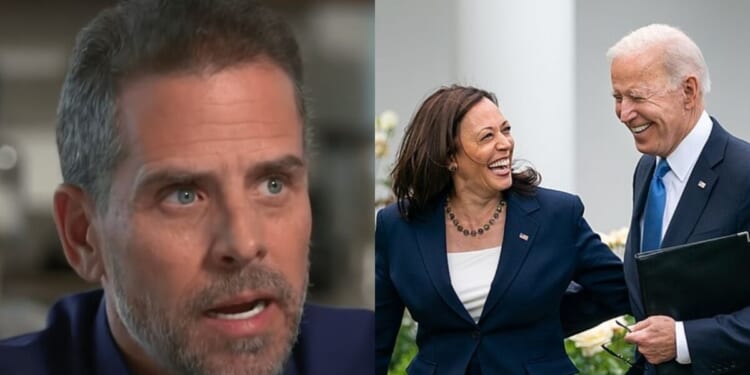 DEI Government: Hunter Biden Admits His Dad Picked Kamala as VP Because She is Black | The Gateway Pundit