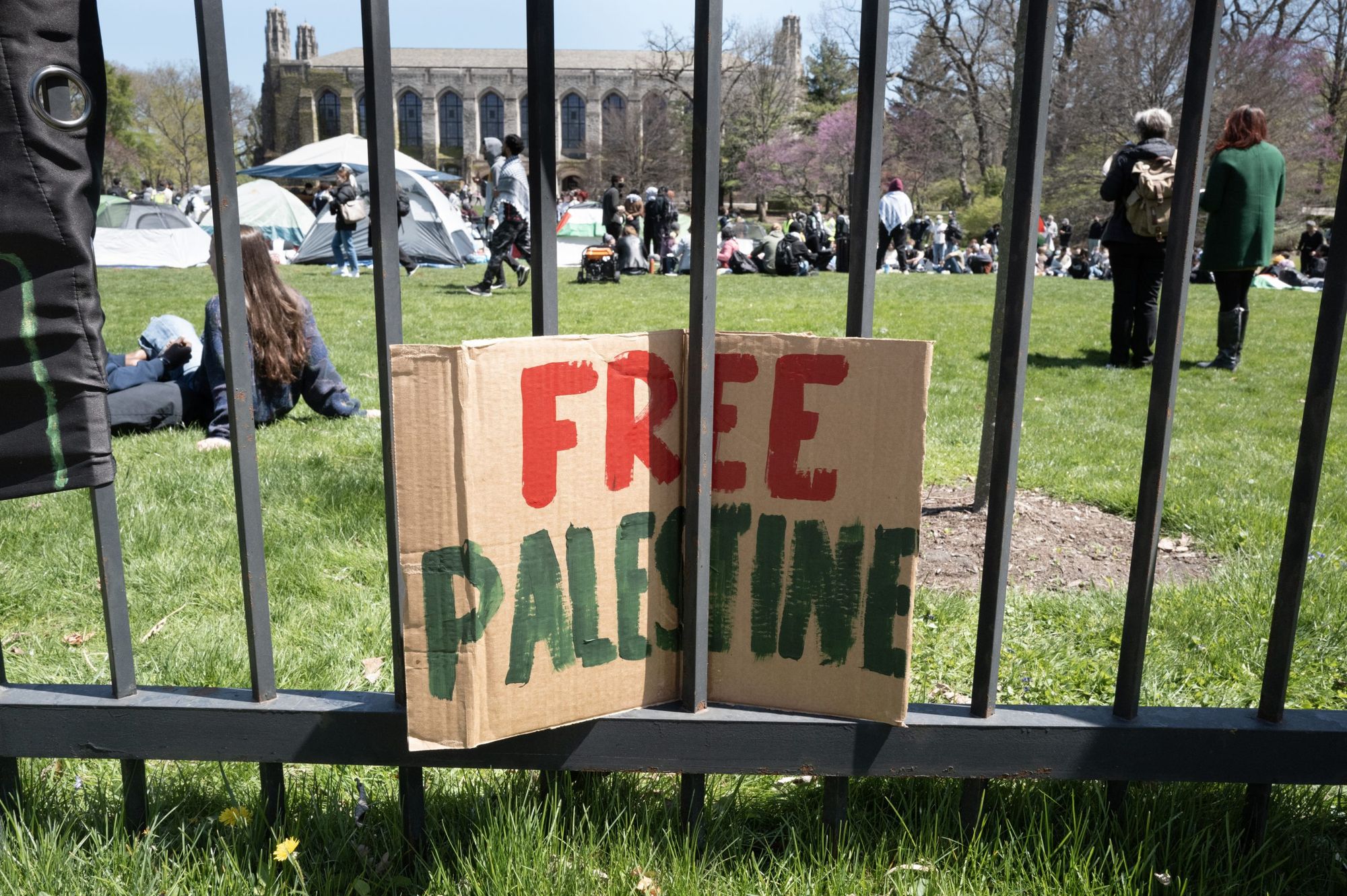 Northwestern Provost Who Floated Divestment From Israel Resigns Amid Federal Anti-Semitism Probe
