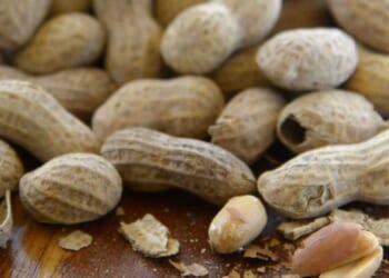 Study shows massive decline in peanut allergies after previous experts proven wrong