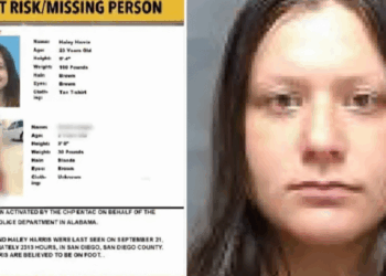 ICE Rescues 3-Year-Old from Child Molester ILLEGAL ALIEN’s Grip in Mexico Horror | The Gateway Pundit