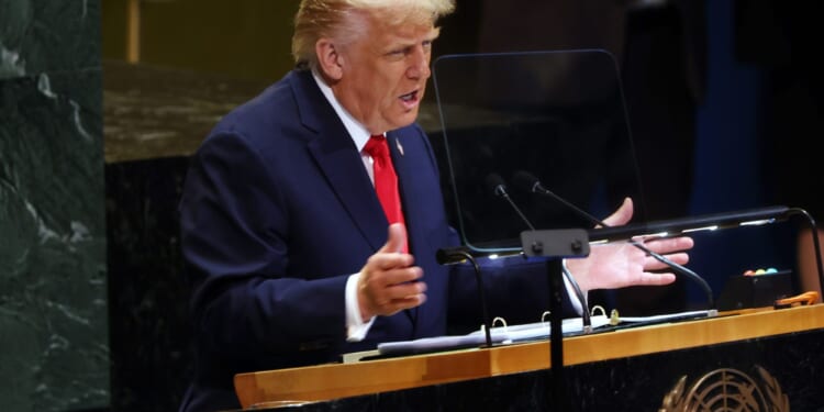 ‘We All Have a Trump Problem’: UN Official Angling for Role in Post-War Gaza Has History of Bashing Trump