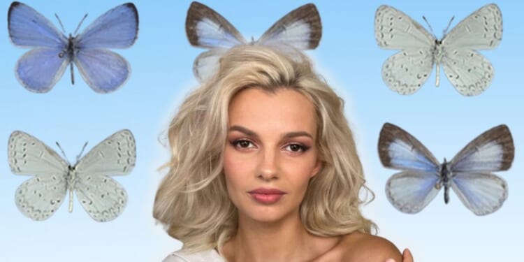 Scientist Who Discovered Species of Butterfly Names it After Iryna Zarutska to Ensure She is Never Forgotten | The Gateway Pundit