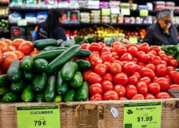 Trump admin blames Senate Democrats for SNAP debacle: 'The well has run dry'