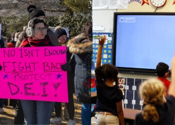 Parental rights groups call for statewide education audits in all 50 states