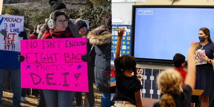 Parental rights groups call for statewide education audits in all 50 states