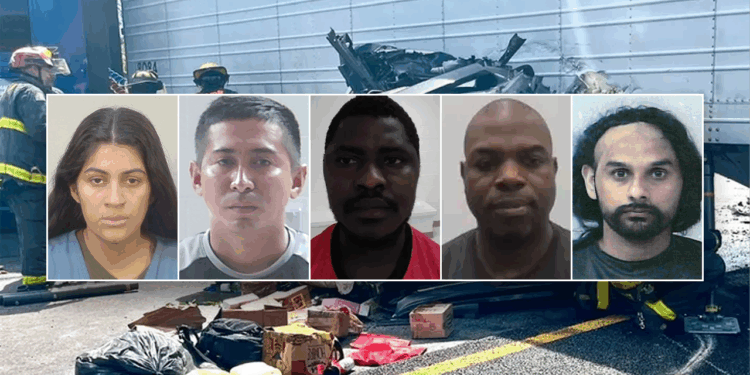 Whistleblower exec warns illegal drivers creating 'shockwave' in key industry