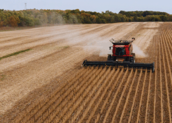 Trump, Xi meeting puts soybeans at center of US-China trade tensions