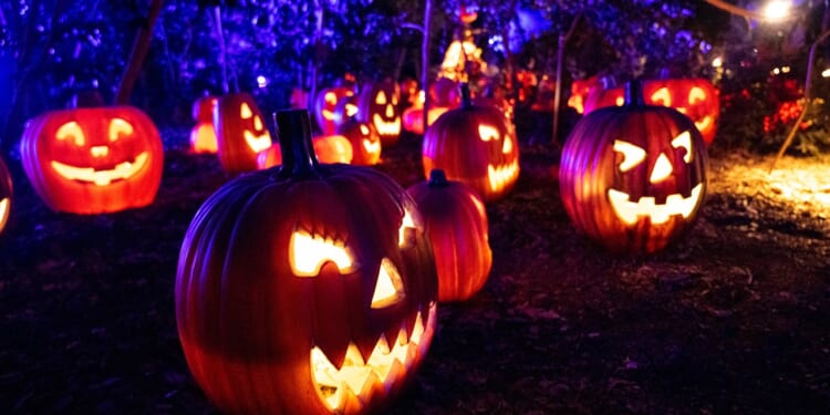 Author's new book aims to reclaim Halloween's true spiritual meaning