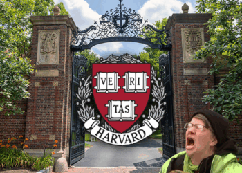 'I Was Just Sobbing in Bed': Harvard Students Distraught as School Says It Gives Out Too Many As