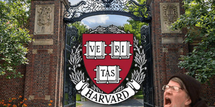 'I Was Just Sobbing in Bed': Harvard Students Distraught as School Says It Gives Out Too Many As