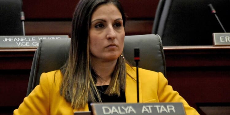 Democratic state senator allegedly secretly recorded 2 critics having sex in order to silence them