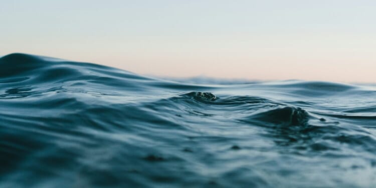 A Different Way to Surrender: A Lesson About Living with Pain