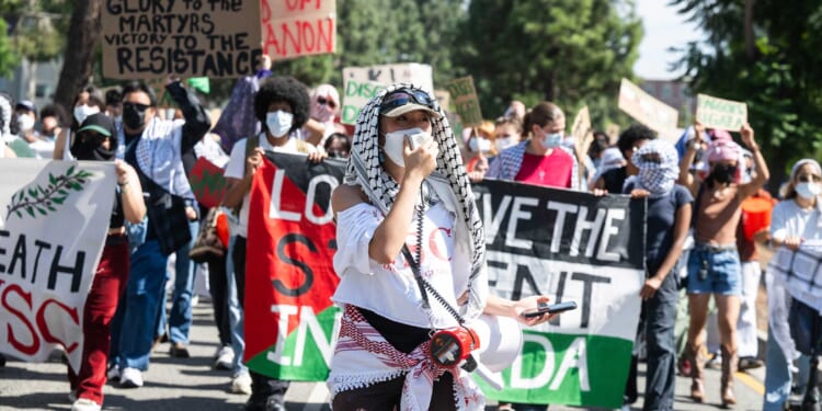 American Universities, Two Years After October 7