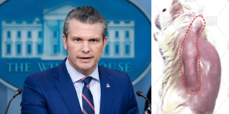 Press briefing at the White House featuring a speaker discussing animal welfare, accompanied by an image highlighting veterinary concerns.