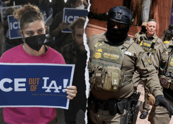 Dem immigration emergency declaration 'slap in the face' to Americans, LA leader says