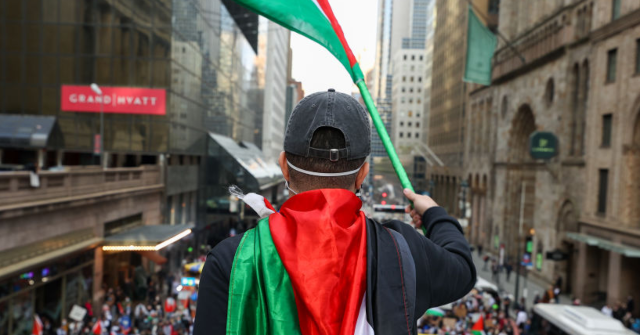 Democrat Donors, Anti-Israel Groups Funding 'No Kings' Protests