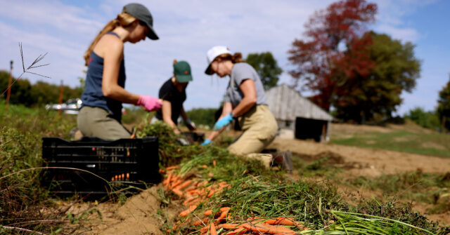 Democrats 'Actively Sabotaging America’s Farmers' in Their Shutdown