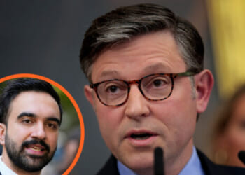 Dems Shut Down the Government Because They Fear Far-Left Activists