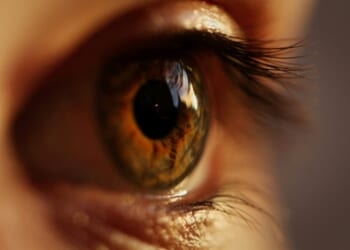 Evolution of the Concept of “Lust” from the Gospel of Matthew to the Present Day