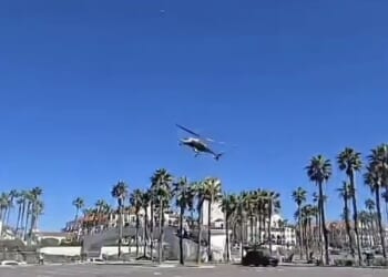 Helicopter flying over a palm tree-lined area against a clear blue sky, showcasing urban landscape and aviation in action.