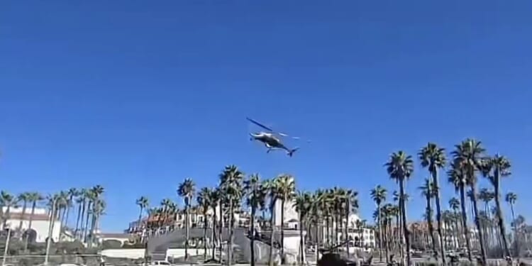 Helicopter flying over a palm tree-lined area against a clear blue sky, showcasing urban landscape and aviation in action.