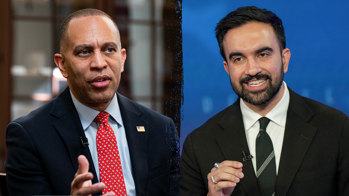 Mamdani and Jeffries split